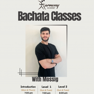 Bachata workshop